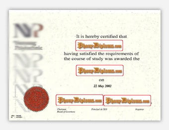 Nanyang Polytechnic - Fake Diploma Sample from Malaysia